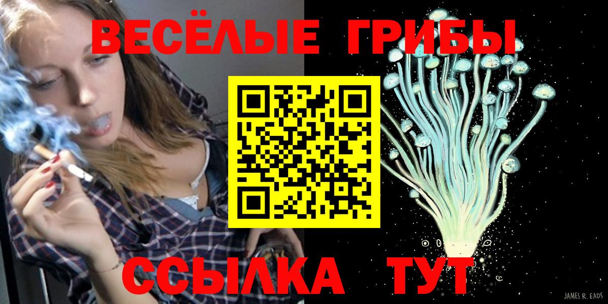 Псилоцибиновые грибы Psilocybe  Вход с VPN  Ростов-на-Дону 